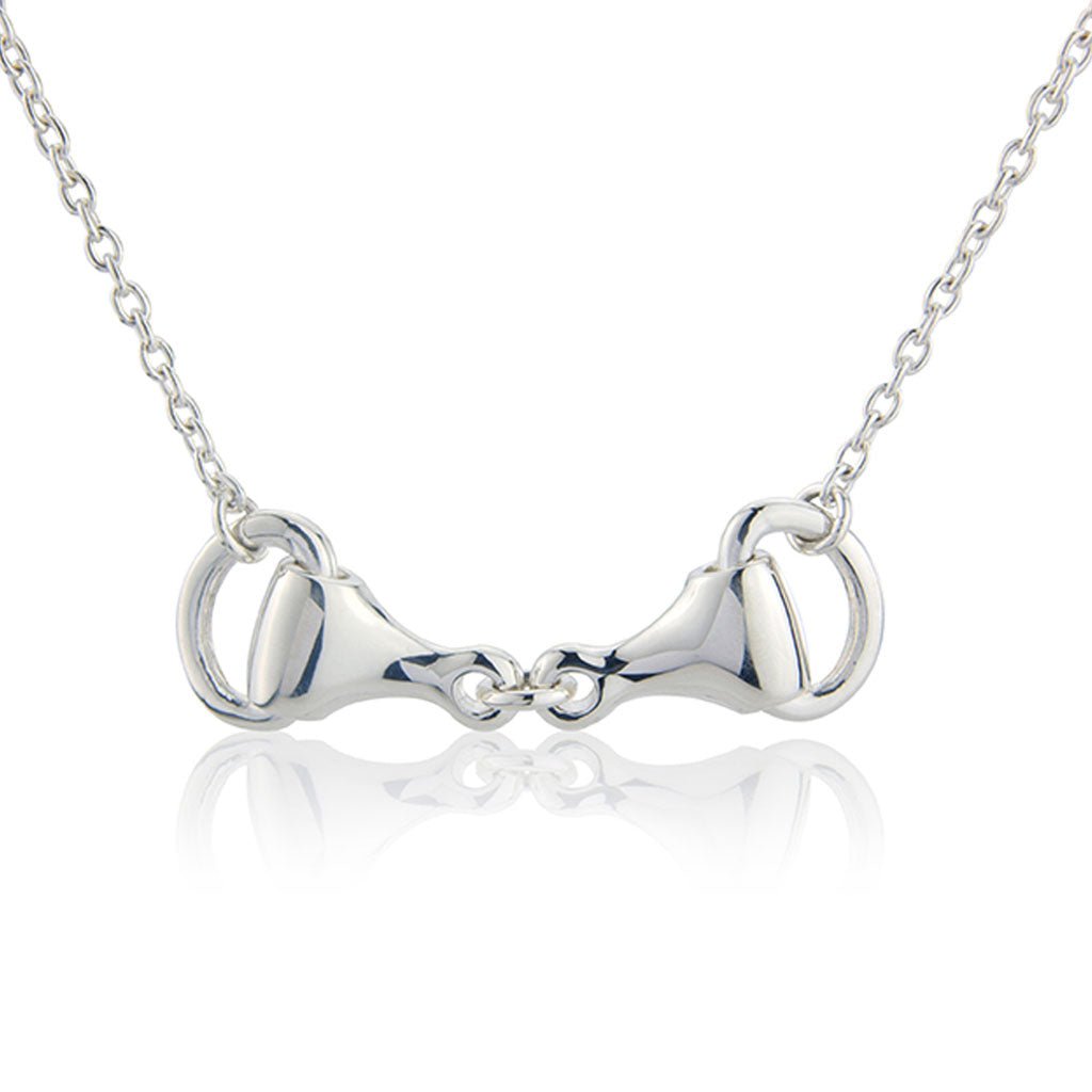 Gorgeous-silver-snaffle-necklace-on-white-background