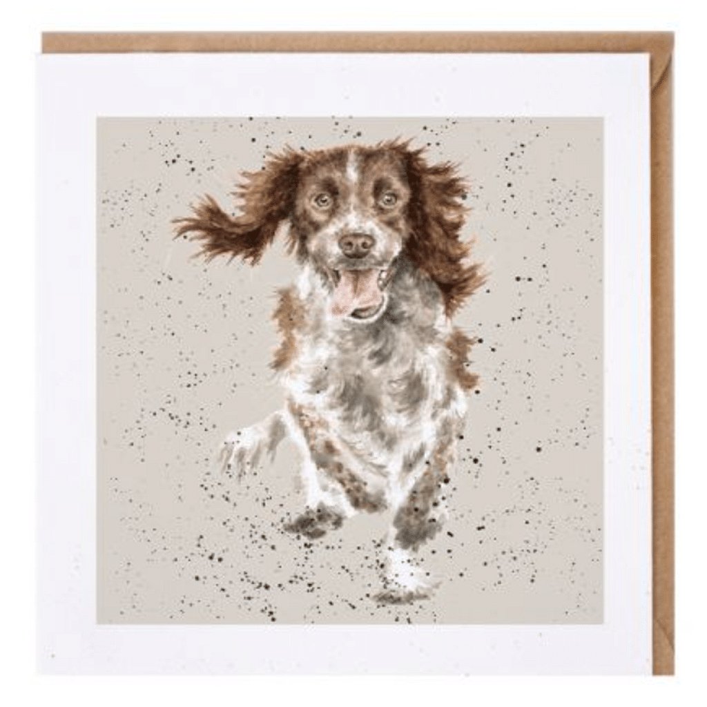Spaniel A Dogs Life Greetings Card - Cotswold Jewellery