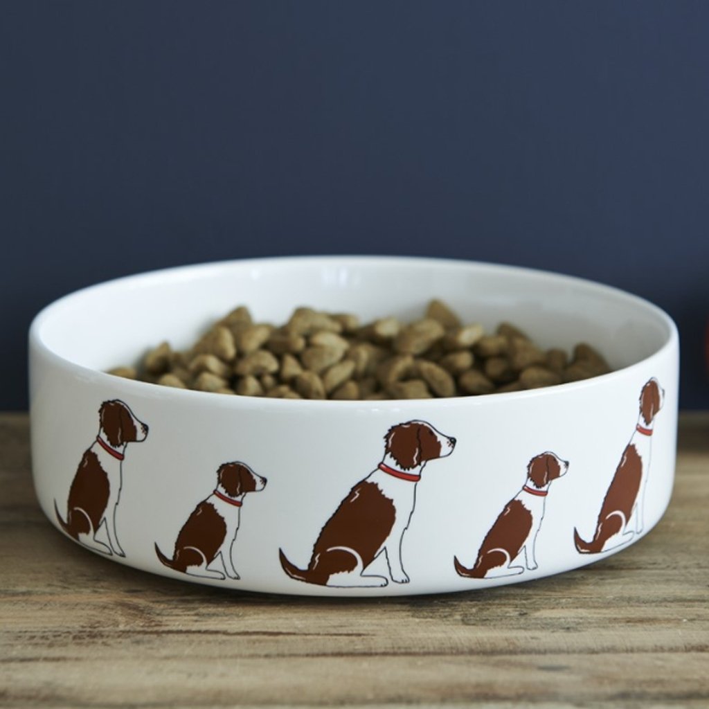 Spaniel Dog Bowl - Cotswold Jewellery