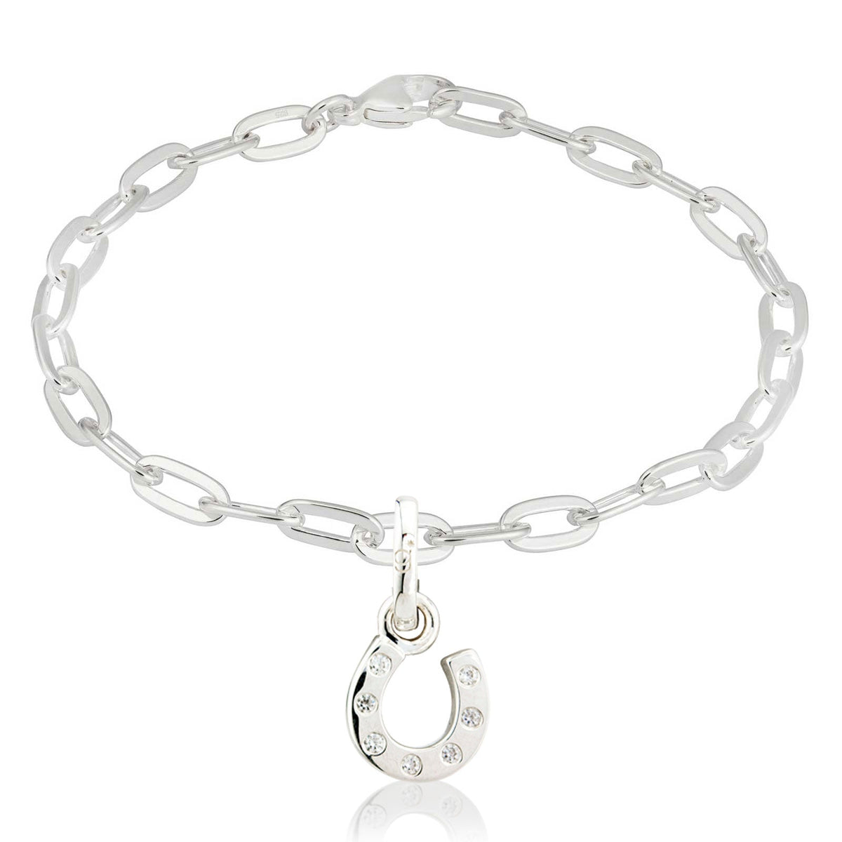 Sparkly horseshoe charm on oval link bracelet 