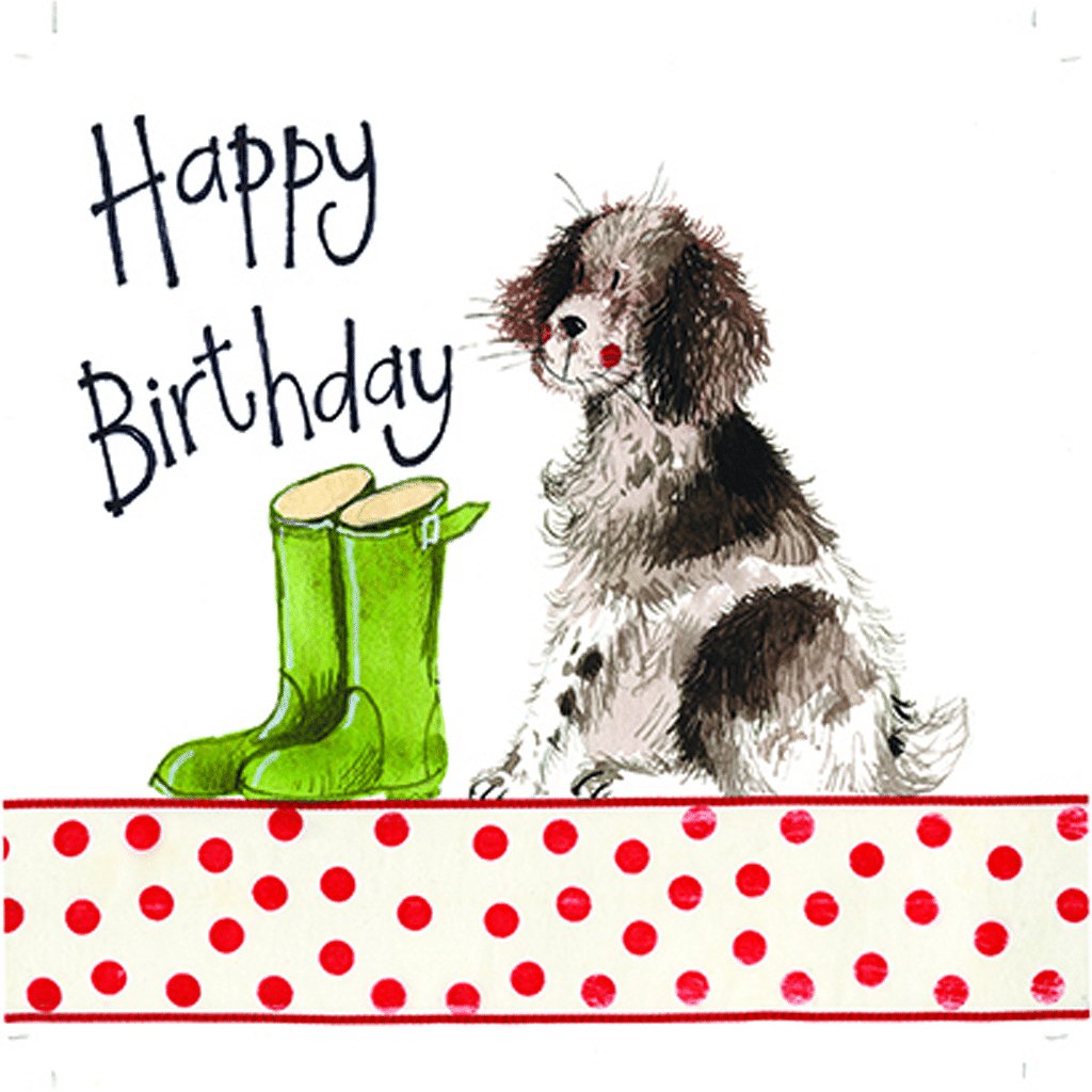 Springer Spaniel Dog Birthday Card - Cotswold Jewellery