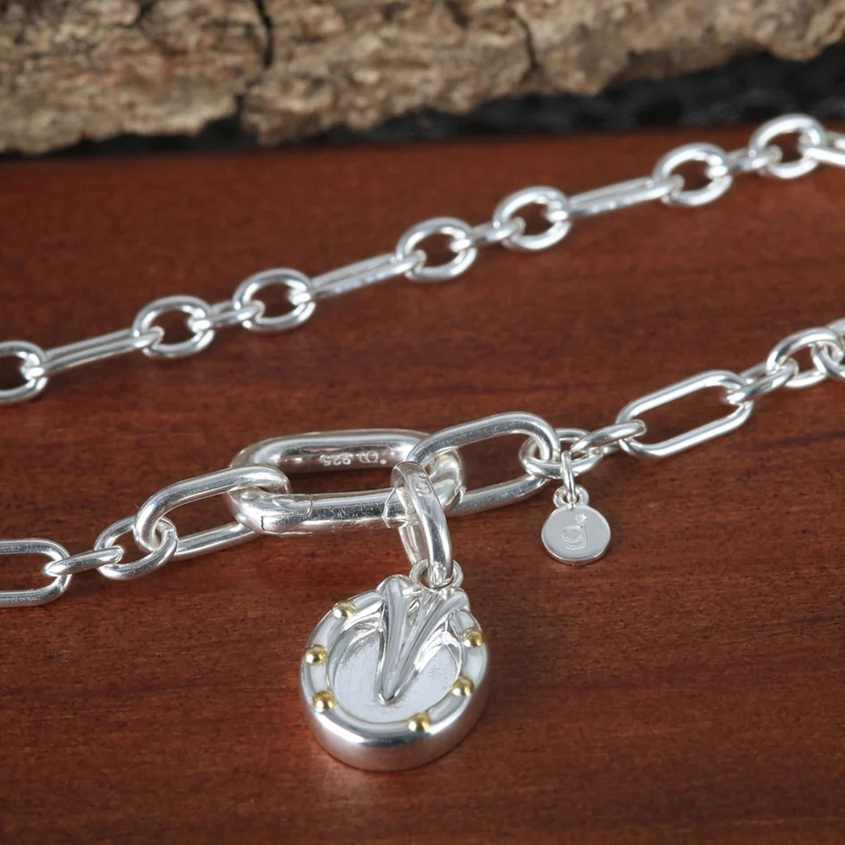 A sterling silver chain necklace with a large oval link clasp, a horseshoe charm engraved with a stylized letter, and a small hanging tag, displayed on a dark wood surface.