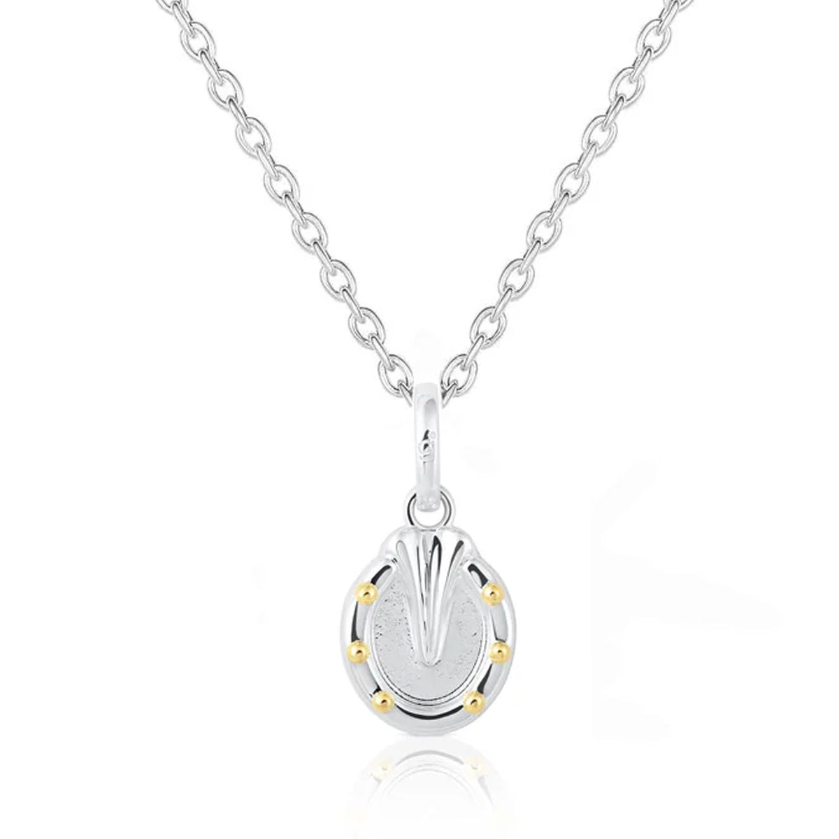 Well Shod Horseshoe Recycled Sterling Silver & Gold Necklace